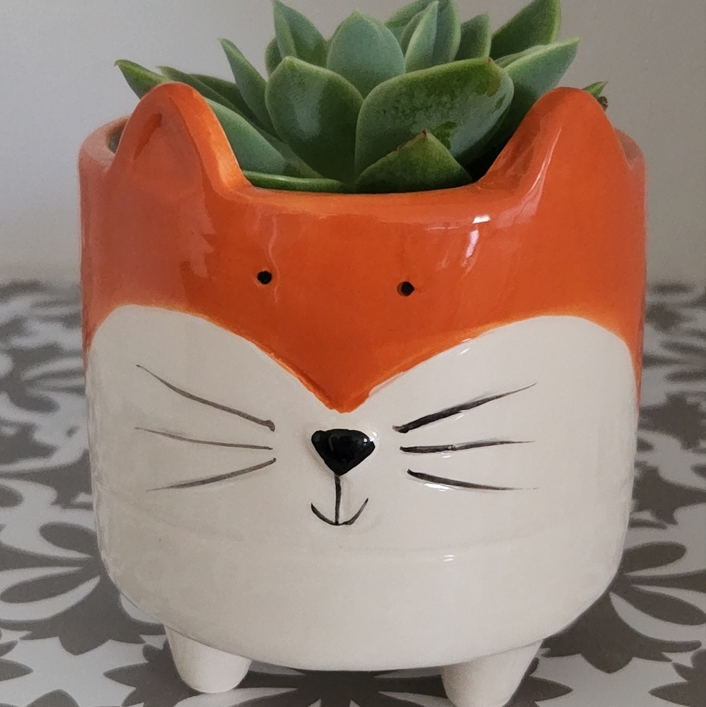 Ceramic plant holder